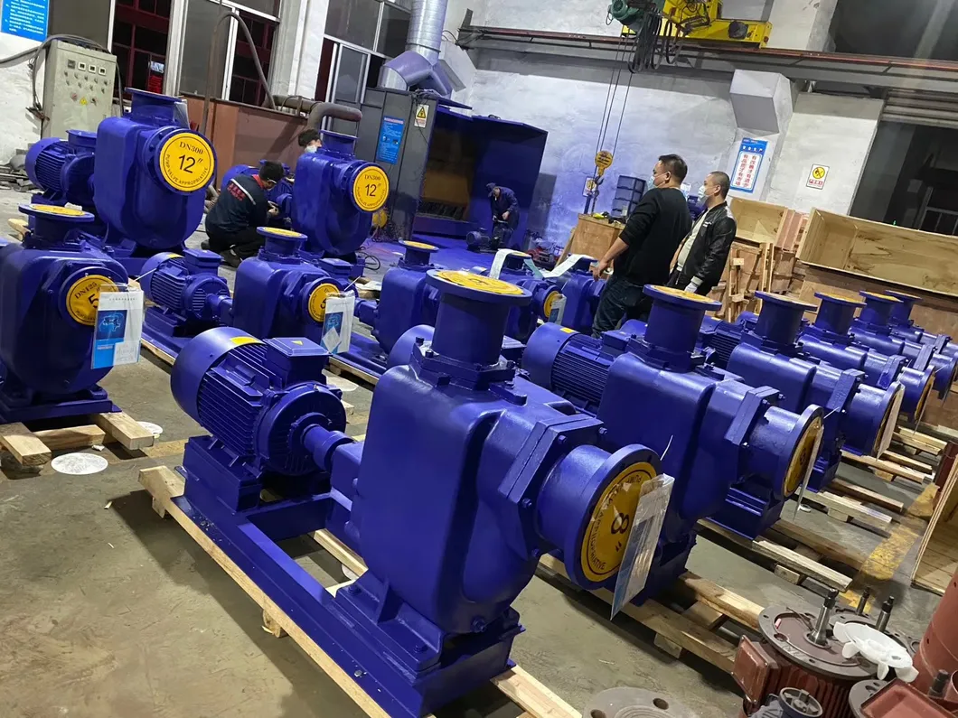 ZW Tipe Self Priming Sewage Pump Single Phase Non Clog Sewage Submersible Pump 2
