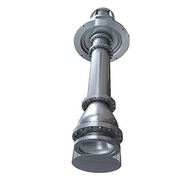 Duplex steel long shaft pump